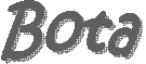Bota
