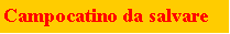 Casella di testo: Campocatino da salvare