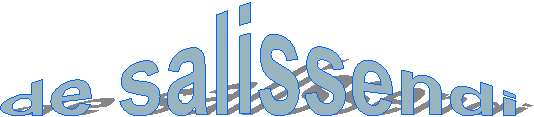 de salissendi