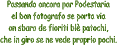 Passando oncora par Podestaria
el bon fotografo se porta via
on sbaro de fioriti bl patochi,
che in giro se ne vede proprio pochi.