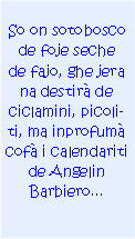 Casella di testo: So on sotobosco de foje seche de fajo, ghe jera na destir de ciclamini, picoliti, ma inprofum cof i calendariti de Angelin Barbiero...