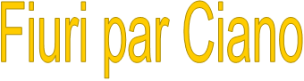 Fiuri par Ciano