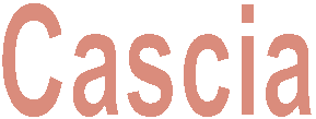 Cascia